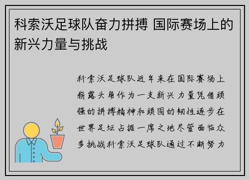 科索沃足球队奋力拼搏 国际赛场上的新兴力量与挑战